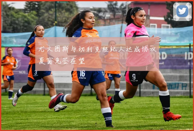 尤文图斯与切利克经纪人达成协议夏窗免签在望