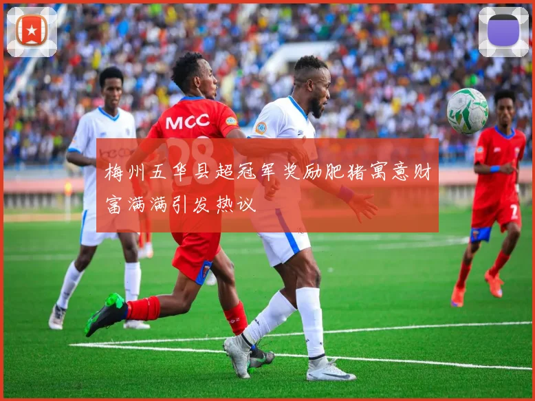 梅州五华县超冠军奖励肥猪寓意财富满满引发热议